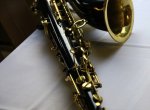 Saxofonista na lodi v Praze